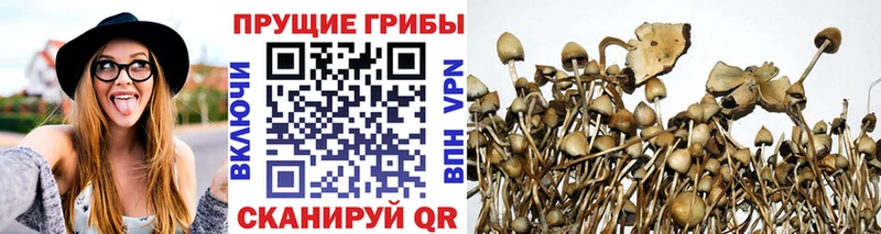 Псилоцибиновые грибы MAGIC MUSHROOMS  Александровское 